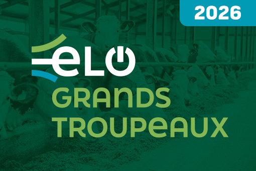 ELO Grands Troupeaux 2026