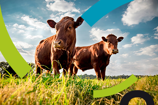 Webinaire Solvay Bicar®Z