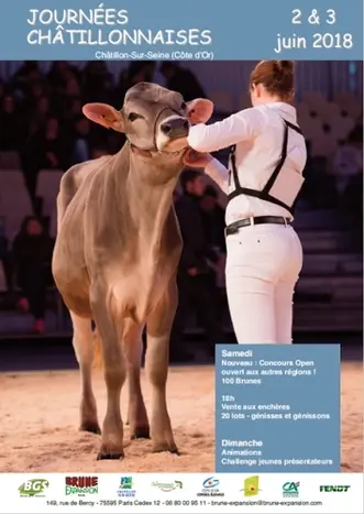 journéeschatillonnaises