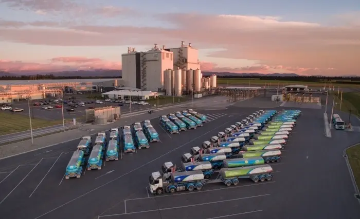 Les éleveurs néo-zélandais conti