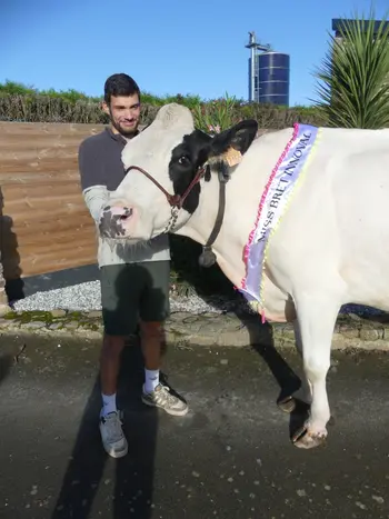 Mandarine (Imperial x Girocol), championne Miss Bret' Innoval 2025, challenge Production, à l’Ear