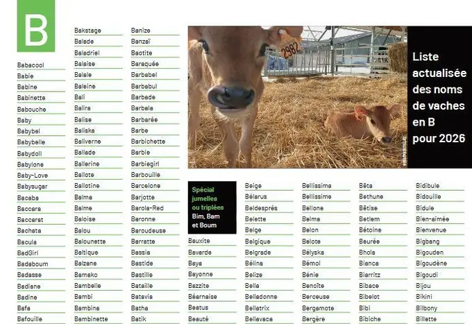 Noms de vaches 2026