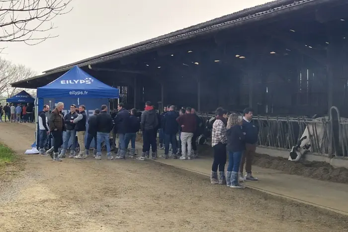 Journée technique Eilyps au Gaec Harel avec 115 éleveurs présents ce jeudi 5 mars 2026.