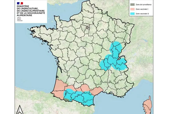 La vaccination DNC reprend en commençant par la Savoie, la Haute Savoie, l'Isère et l'Ain