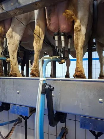 bras de traite BouMatic