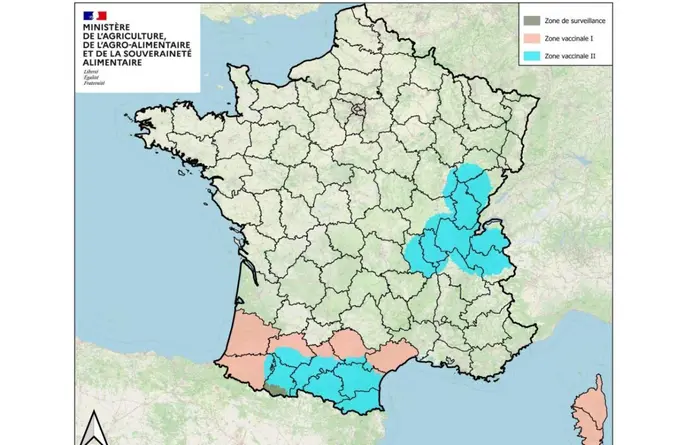 La vaccination DNC reprend par la Savoie, la Haute Savoie, l'Isère et l'Ain.
