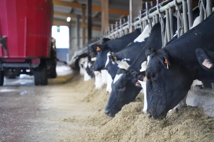 ration complète et mélangeuse Gaec de Faucile