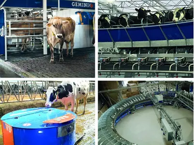 Sac et BouMatic fusionent leurs marques