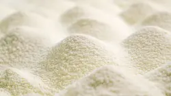 Poudre de lait, cr^ème, beurres et fromages s'exportent vers la Chine