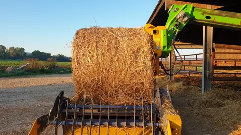 Dérouleuse-pailleuse Warzee