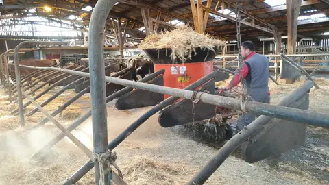 Paillage des logettes Valmetal Gaec du Gué