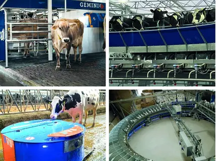 Sac et BouMatic fusionent leurs marques