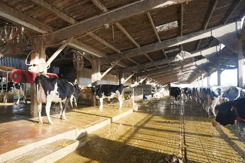 grande menuère ancien bâtiment