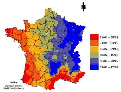 Carte de dates médianes (sur 20 ans : 2006-2025) pour cumuler 200 degrés-jours (base 0°C) depuis le 1er janvier