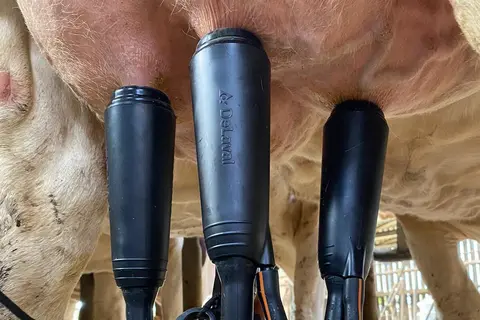 DeLaval Evanza Retrofit