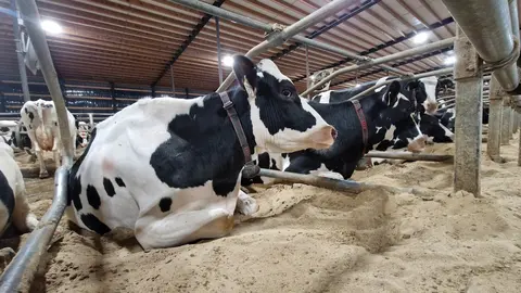 divers logettes sable