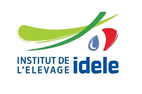 Logo idele