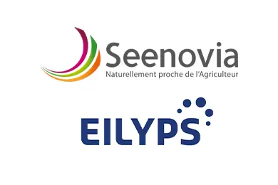 Seenovia Eilyps